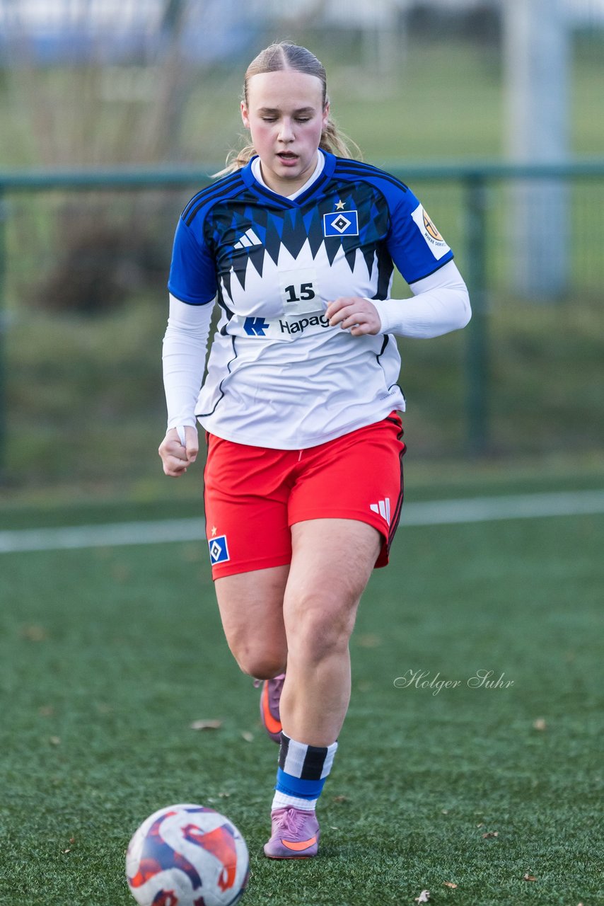 Bild 423 - wBJ Hamburger SV - Holstein Kiel : Ergebnis: 8:0